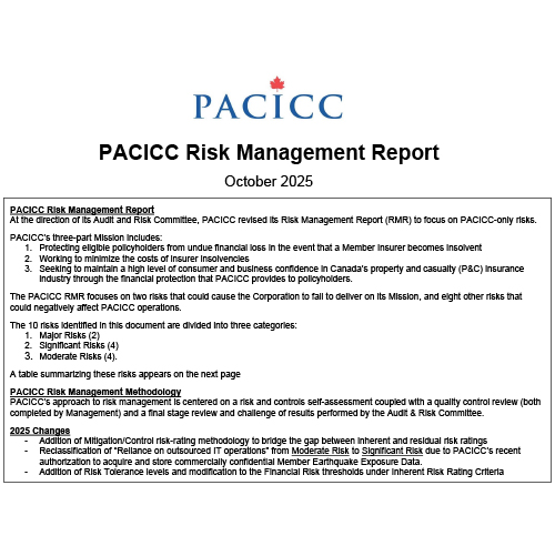 Risk Management Report