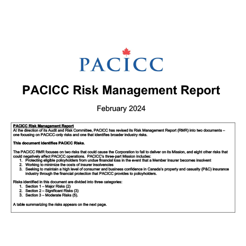 Risk Management Report